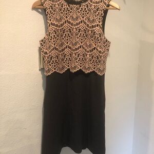 Halogen Black Sheath Dress with Blush Lace Bodice